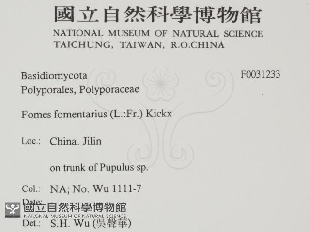 登錄號:F0031233藏品圖，第2張