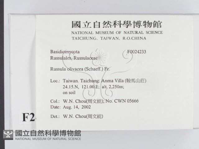 登錄號:F0024233藏品圖，第2張