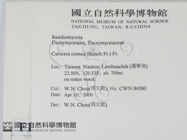 登錄號:F0014233藏品圖，第2張