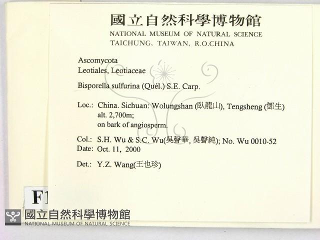 登錄號:F0012233藏品圖，第2張