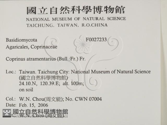 登錄號:F0027233藏品圖，第2張