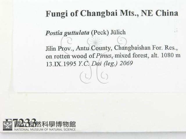 登錄號:F0007233藏品圖，第2張