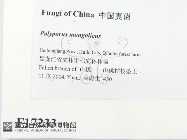 登錄號:F0017233藏品圖，第2張