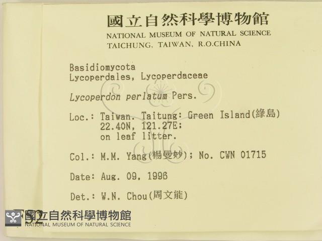 登錄號:F0005233藏品圖，第2張