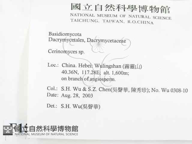 登錄號:F0015233藏品圖，第2張