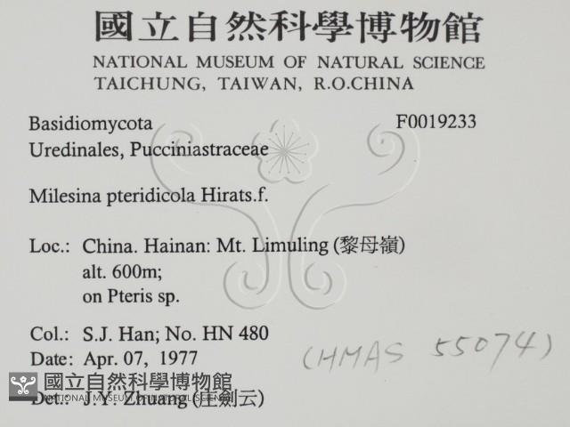 登錄號:F0019233藏品圖，第2張