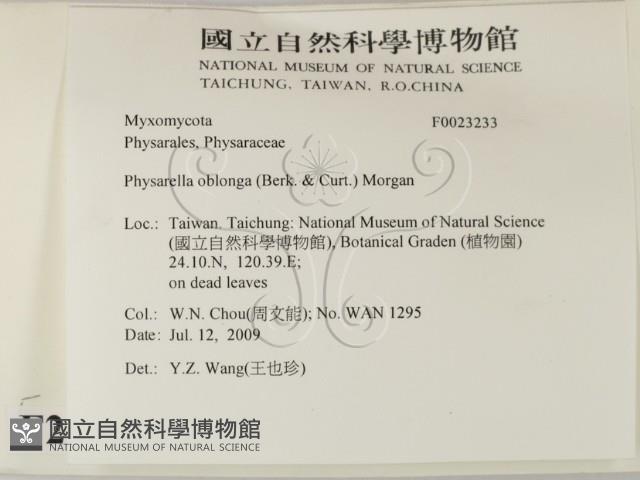 登錄號:F0023233藏品圖，第2張