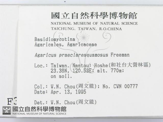 登錄號:F0003233藏品圖，第2張