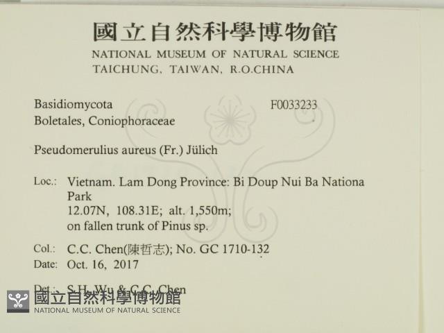 登錄號:F0033233藏品圖，第2張