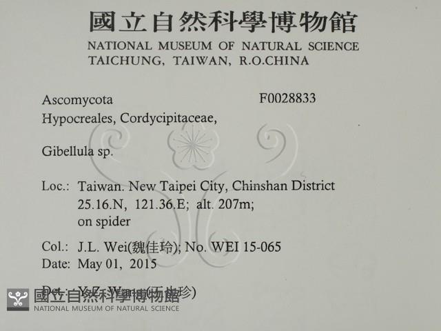 登錄號:F0028833藏品圖，第2張