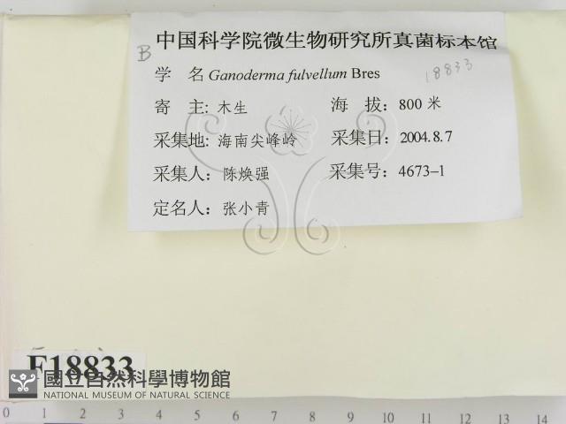 登錄號:F0018833藏品圖，第2張