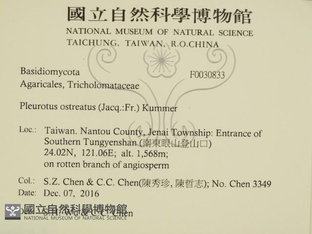 登錄號:F0030833藏品圖，第2張
