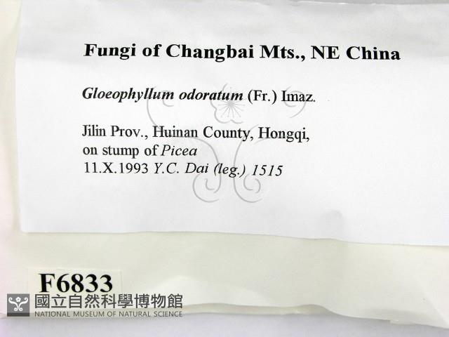 登錄號:F0006833藏品圖，第2張