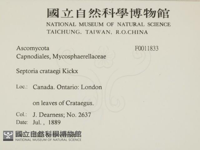 登錄號:F0011833藏品圖，第2張