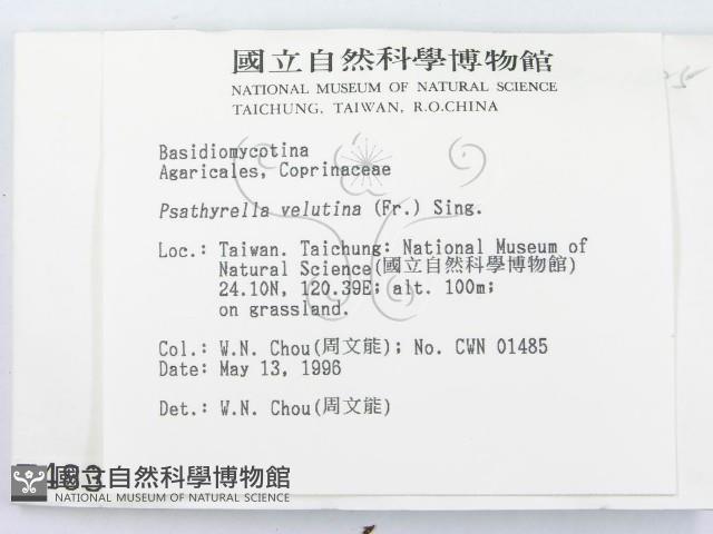 登錄號:F0004833藏品圖，第2張