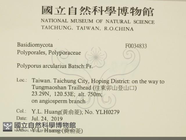 登錄號:F0034833藏品圖，第2張