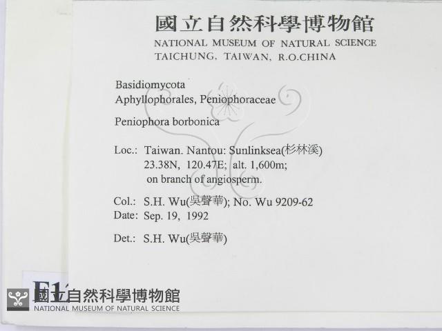 登錄號:F0012833藏品圖，第2張