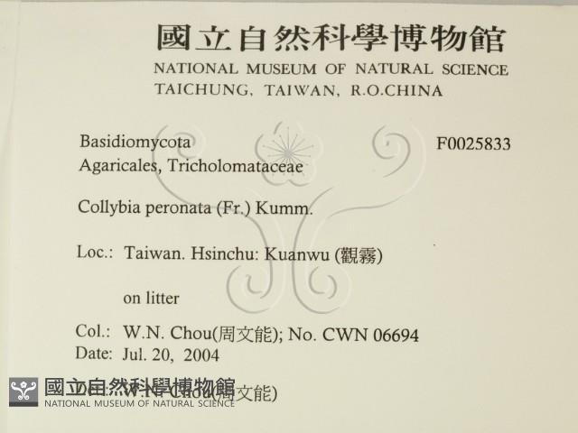 登錄號:F0025833藏品圖，第2張