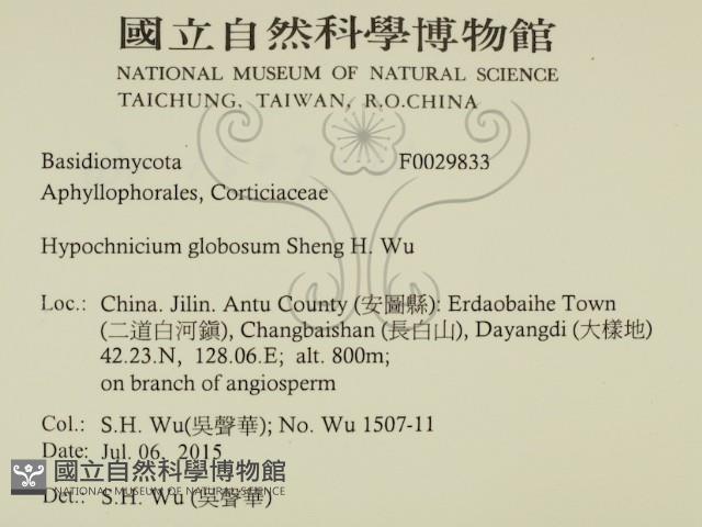 登錄號:F0029833藏品圖，第2張