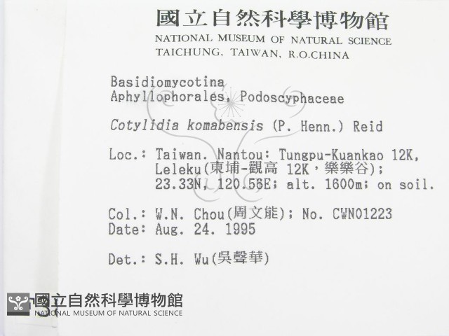 登錄號:F0003833藏品圖，第2張