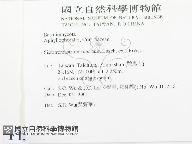 登錄號:F0013833藏品圖，第2張