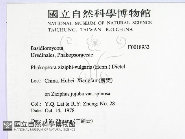 登錄號:F0018933藏品圖，第2張