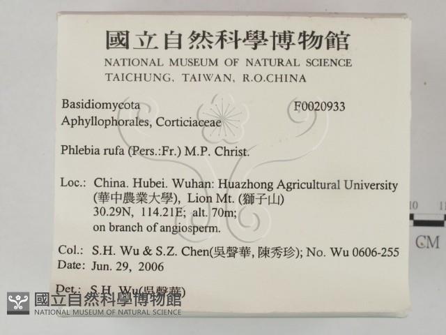 登錄號:F0020933藏品圖，第2張