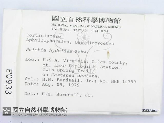 館號:F0000933藏品圖，第2張