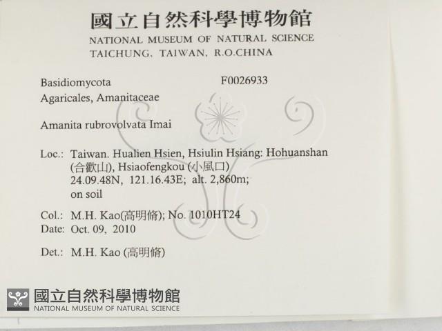 登錄號:F0026933藏品圖，第2張