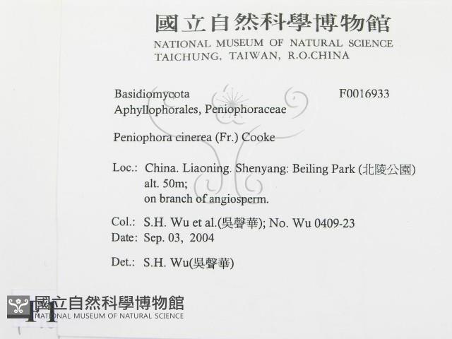 登錄號:F0016933藏品圖，第2張
