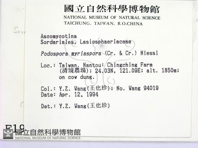 登錄號:F0001933藏品圖，第2張