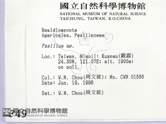 登錄號:F0004933藏品圖，第2張