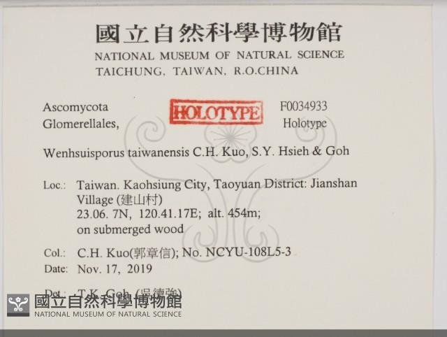 登錄號:F0034933藏品圖，第2張