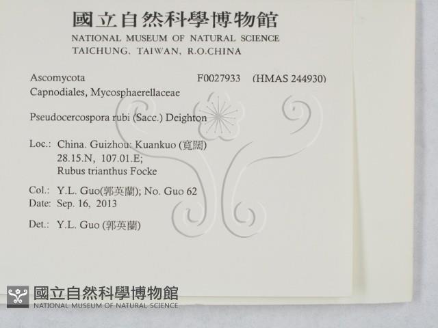 登錄號:F0027933藏品圖，第2張