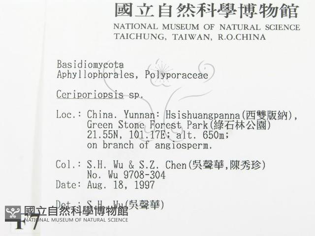 登錄號:F0007933藏品圖，第2張