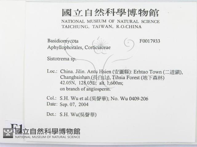 登錄號:F0017933藏品圖，第2張