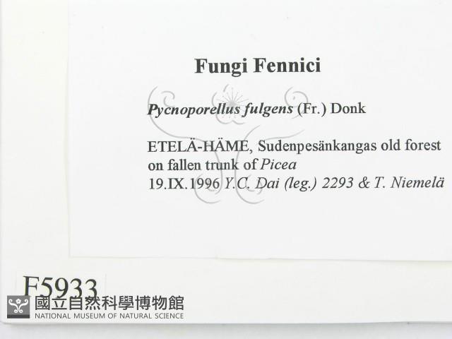 登錄號:F0005933藏品圖，第2張