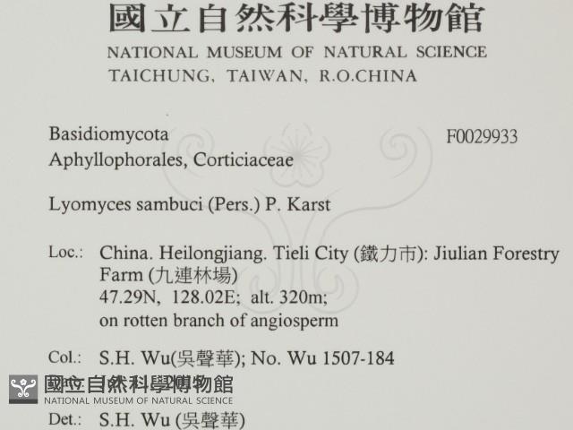 登錄號:F0029933藏品圖，第2張