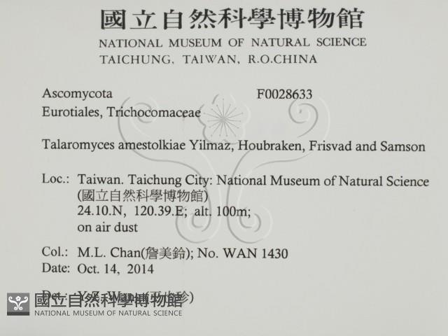 登錄號:F0028633藏品圖，第2張