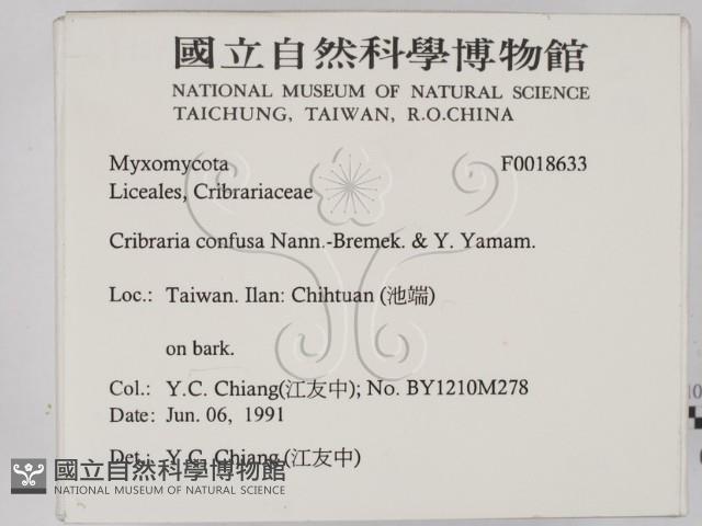 登錄號:F0018633藏品圖，第2張