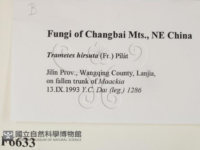 登錄號:F0006633藏品圖，第2張