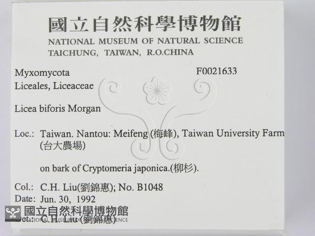 登錄號:F0021633藏品圖，第2張