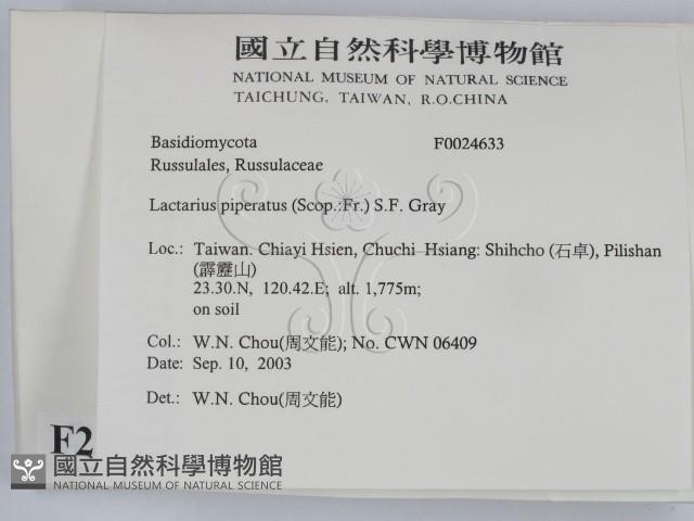 登錄號:F0024633藏品圖，第2張