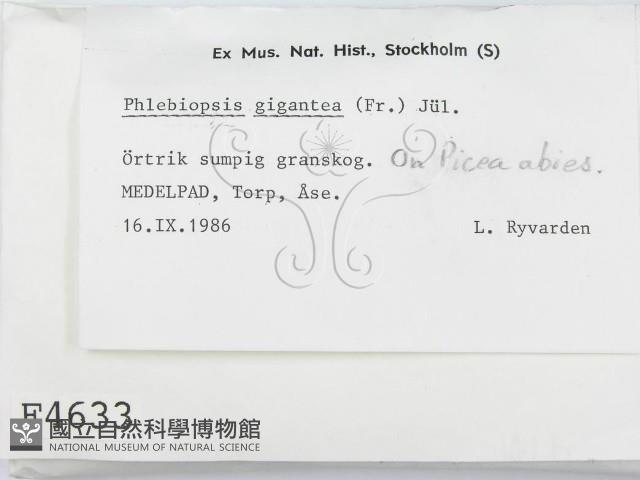 登錄號:F0004633藏品圖，第2張