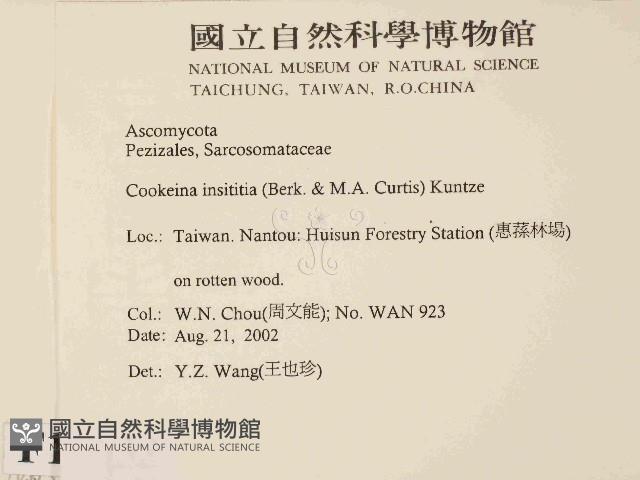 登錄號:F0014633藏品圖，第2張