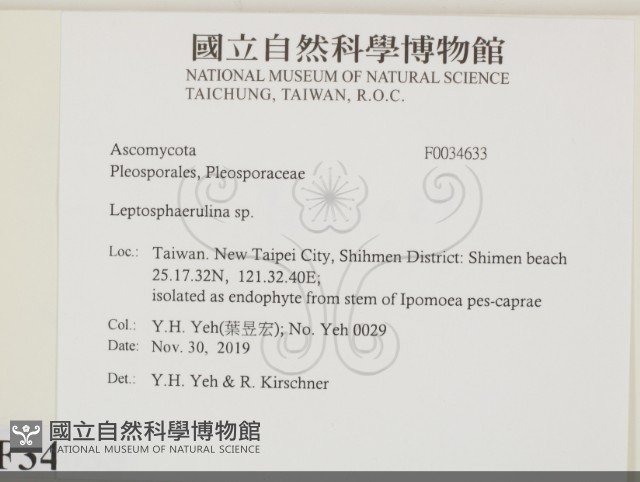 登錄號:F0034633藏品圖，第2張
