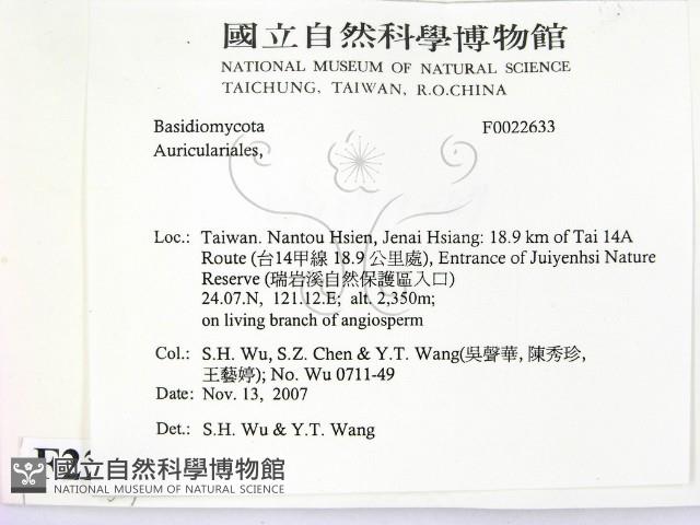 登錄號:F0022633藏品圖，第2張