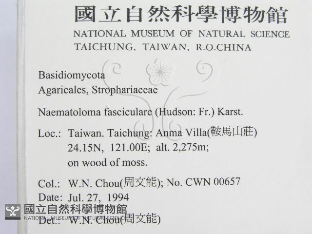 登錄號:F0002633藏品圖，第2張