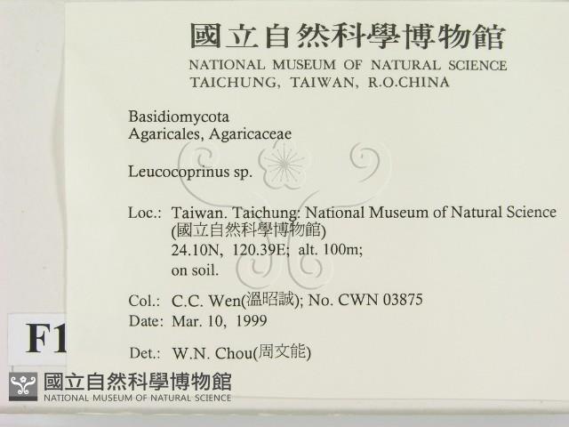 登錄號:F0012633藏品圖，第2張