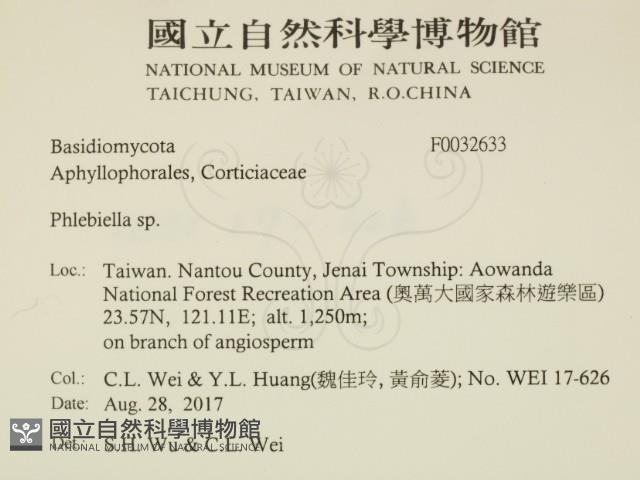 登錄號:F0032633藏品圖，第2張